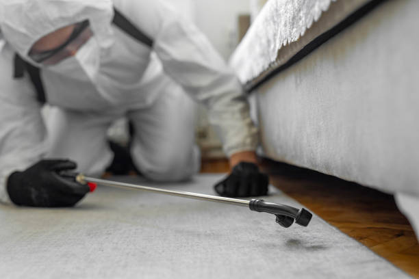 Professional Cockroach Control technician working in Westhampton Beach, NY